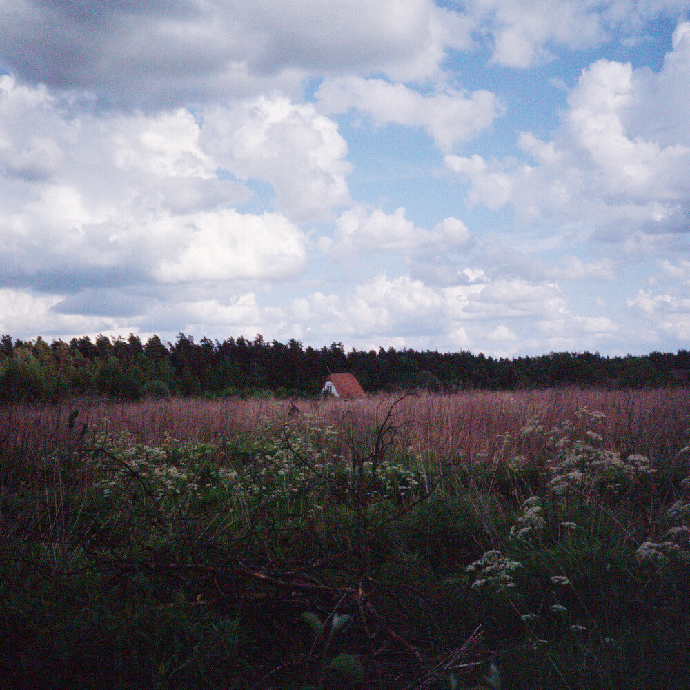 the album cover for Kris Tiner / Pineda,Cathlene - Sung