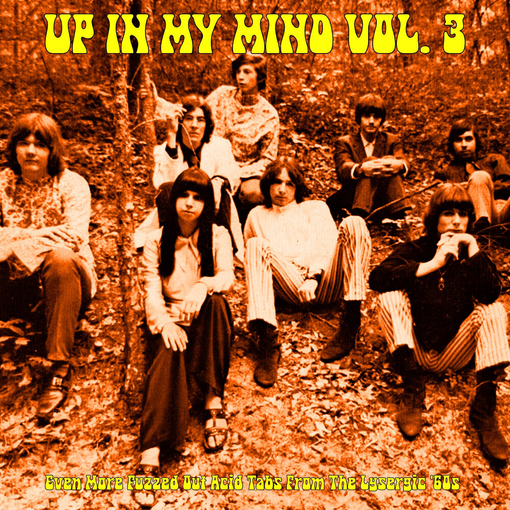 the album cover for Up In My Mind Vol. 3: Even More Fuzzed Out / Var - Up In My Mind Vol. 3: Even More Fuzzed Out / Var