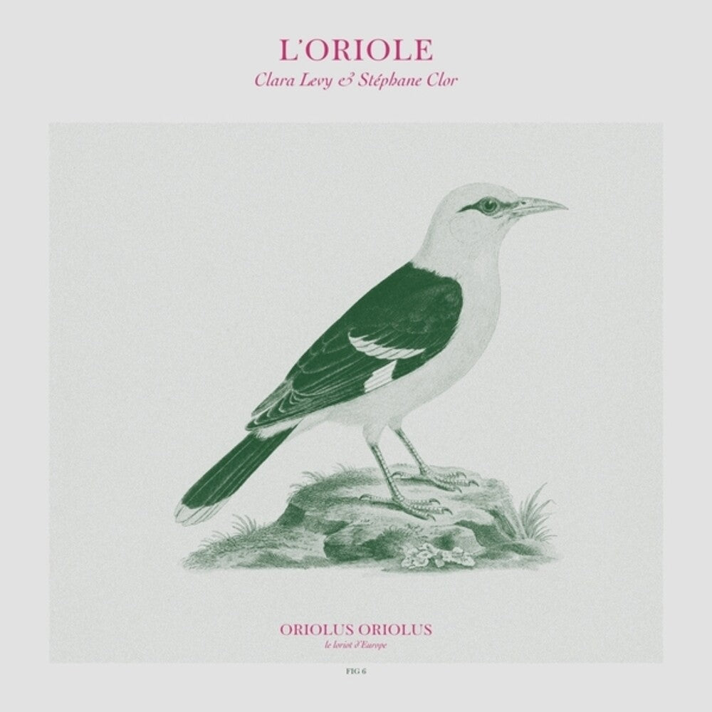 the album cover for Clara Levy / Clor,Stephane - L'oriole