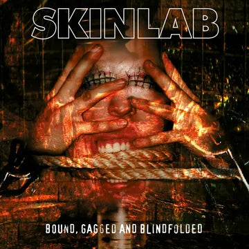 Skinlab: Bound, Gagged and Blindfolded