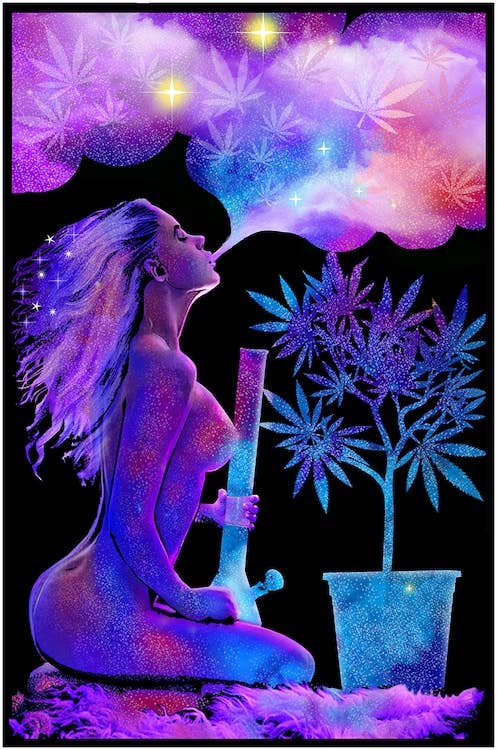 Cannabliss Blacklight 23X35: Indivifually Rolled & Labeled 53174