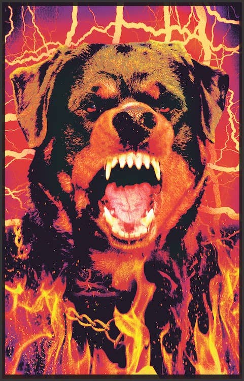 Rotti Blacklight Flocked Poster Size 23X35 54264