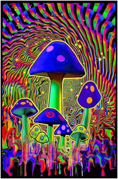 Mind Melt Blacklight 23X35: Indivifually Rolled & Labeled 53127