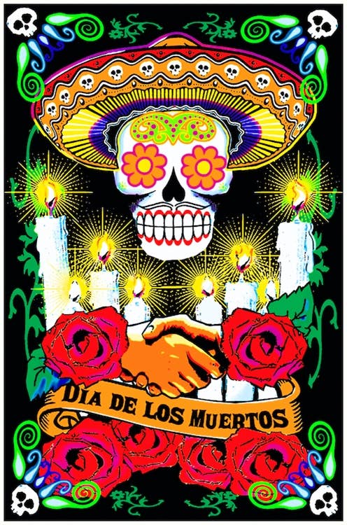 Day of the Dead Dia De Los Muertos Blacklight Flocked 54068