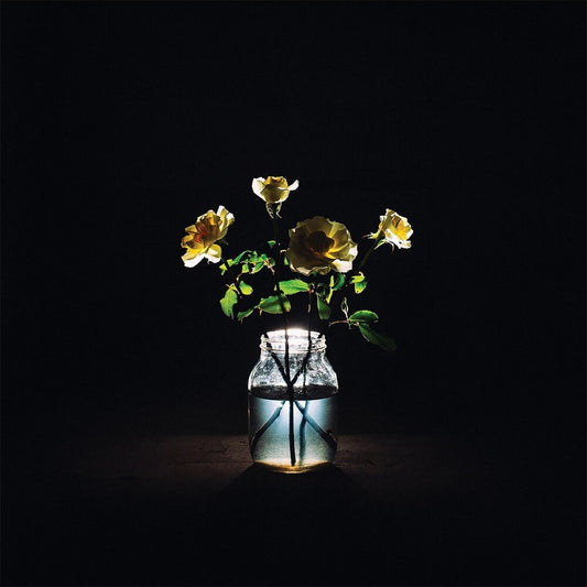 the album cover for Billy Strings - Renewal [2LP]