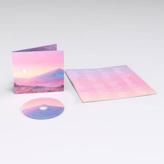 the album cover for Strawberry Guy - Give Me A Dream