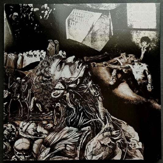 the album cover for Nurse With Wound - Merzbild Schwet [Colored]