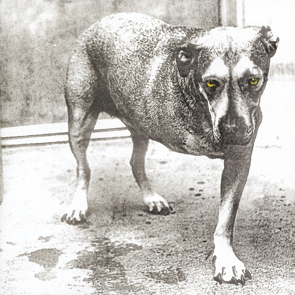 the album cover for Alice In Chains - Alice In Chains (30th Anniversary Reissue) [Colored Vinyl]