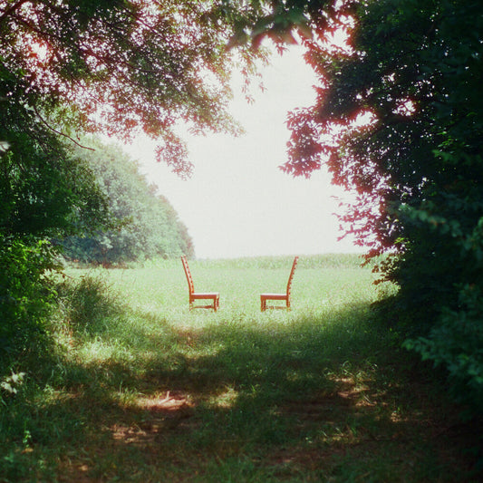 the album cover for Ratboys - Singin' to an Empty Chair [Indie Exclusive Brown and Green Marbled]