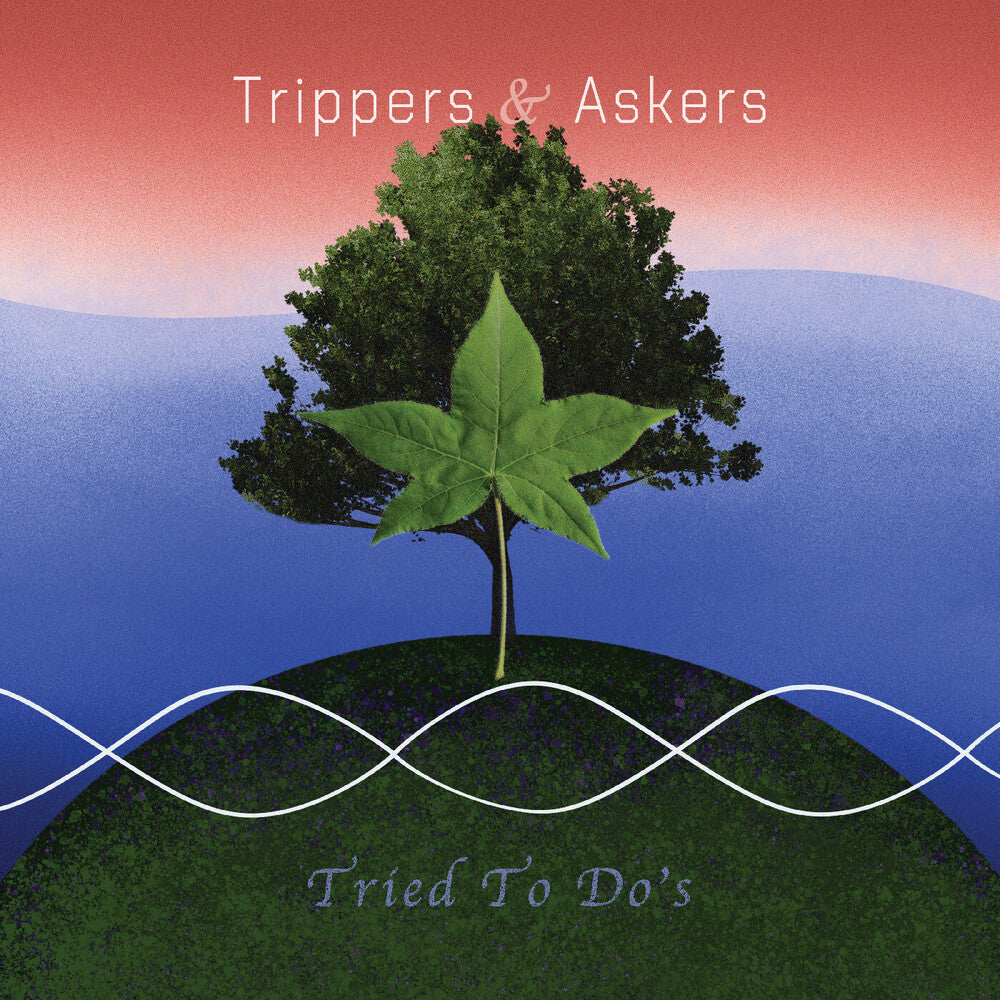 the album cover for Trippers & Askers - Tried To Do's