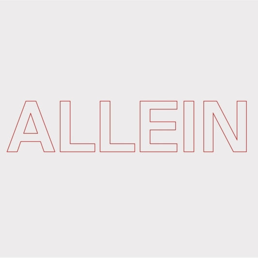the album cover for Quarks - Allein