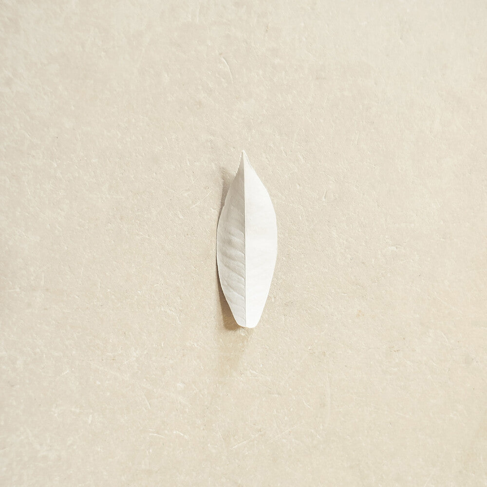 the album cover for Sylvain Chauveau - Complexity Of The Simple