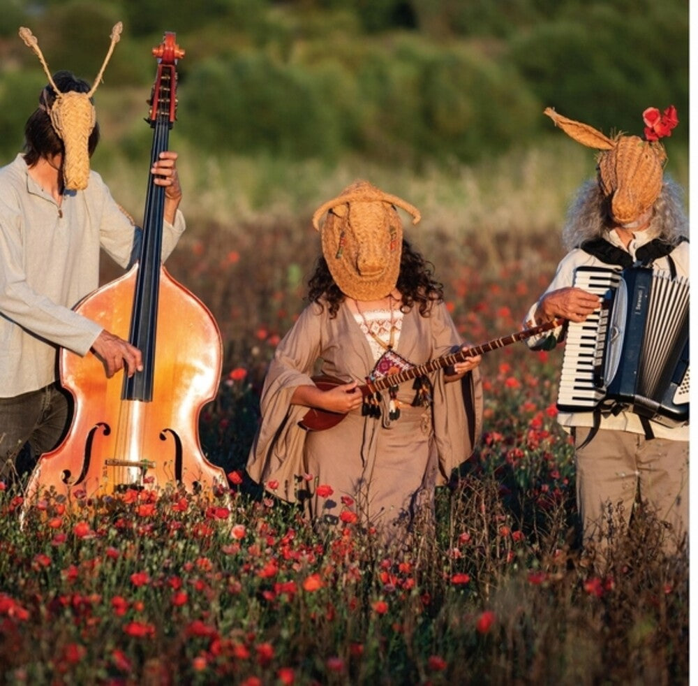 the album cover for Qanat - Aigua Ballant
