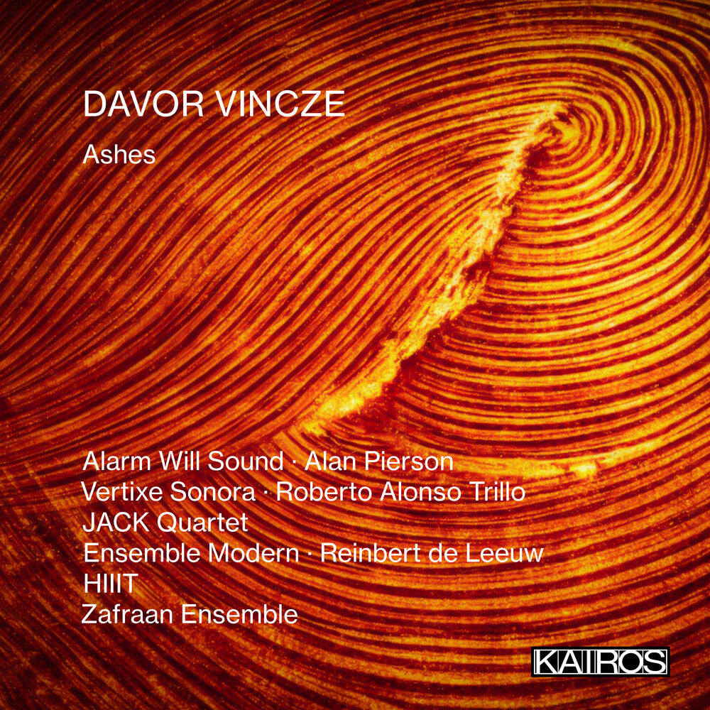 the album cover for Vincze, Davor - Ashes