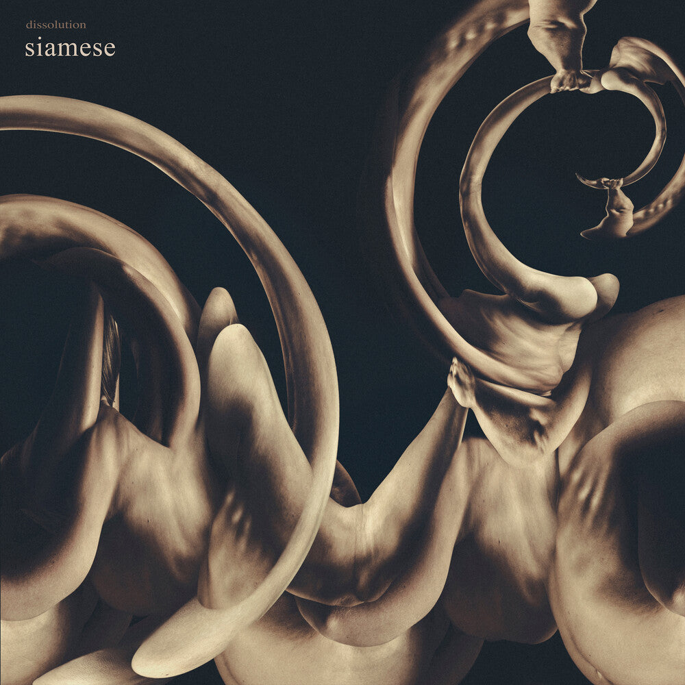 the album cover for Siamese - Dissolution