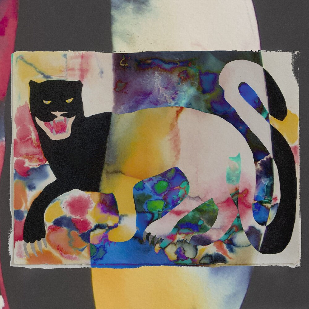 the album cover for Holland Andrews  / Methods Body - Remain