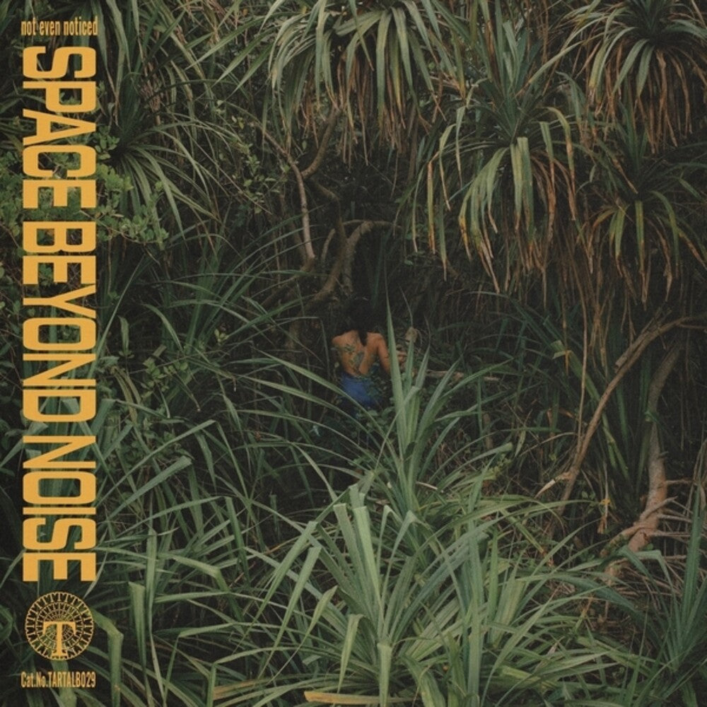 the album cover for not even noticed - Space Beyond Noise