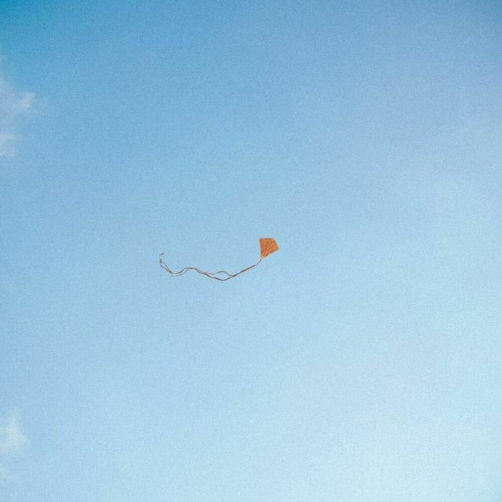 the album cover for Chris Stussy - Lost Found & Forgotten