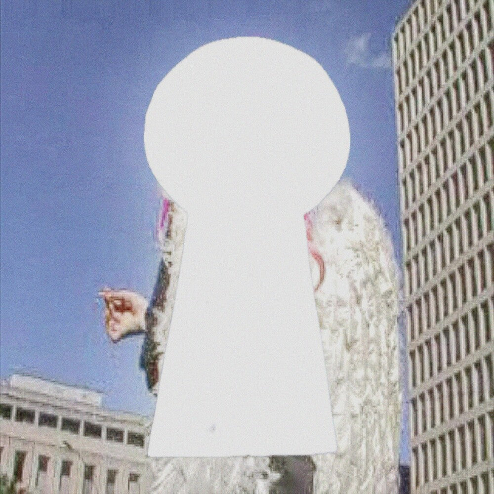 the album cover for Swapmeet - Mount Zero