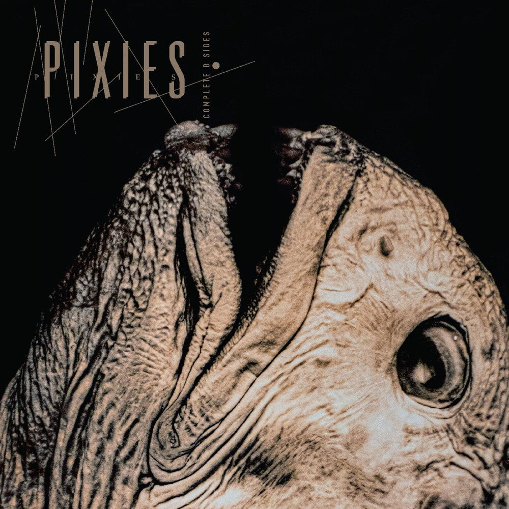 the album cover for Pixies - Complete B Sides: 1988-97
