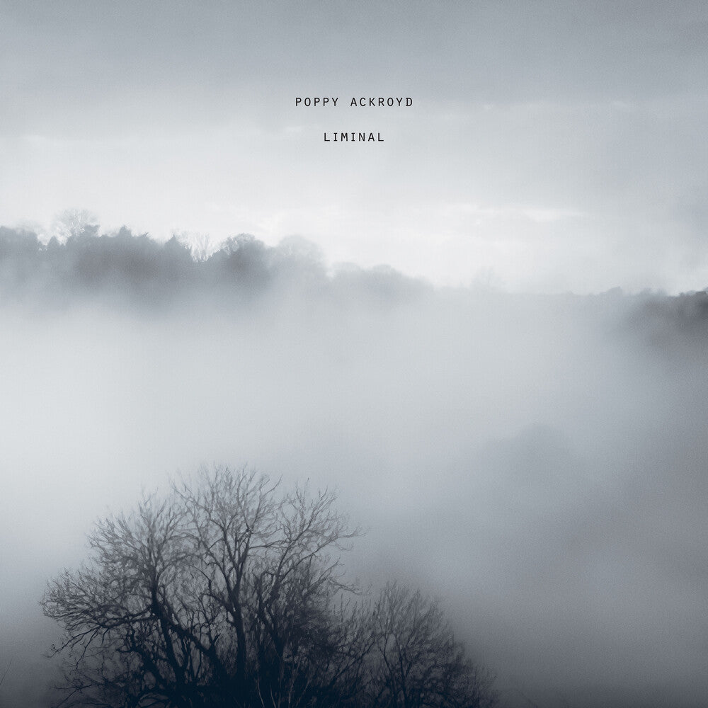 the album cover for Poppy Ackroyd - Liminal