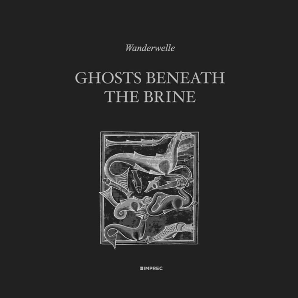 the album cover for Wanderwelle - Ghosts Beneath the Brine