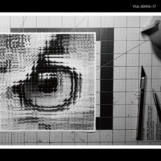 the album cover for Sakanaction - Adapt (180g/2lp)