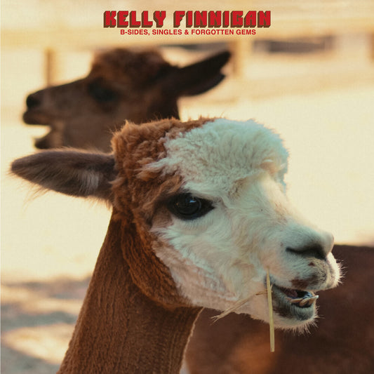 the album cover for Kelly Finnigan - B-Sides Singles & Forgotten Gems - Red [Colored Vinyl]