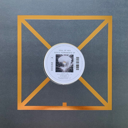 the album cover for Soul of Hex - Disco Permanente [Silver Vinyl]