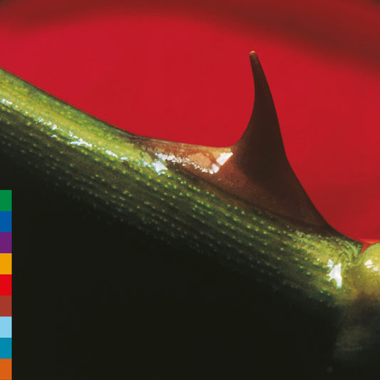 the album cover for Nusrat Khan  Fateh Ali / Brook,Michael - Night Song - Green [Colored Vinyl] (Grn) (Aniv) [Reissue]