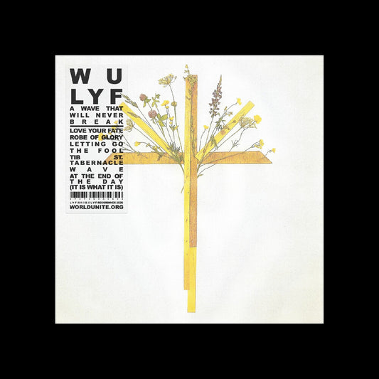 the album cover for WU LYF - Wave That Will Never Break