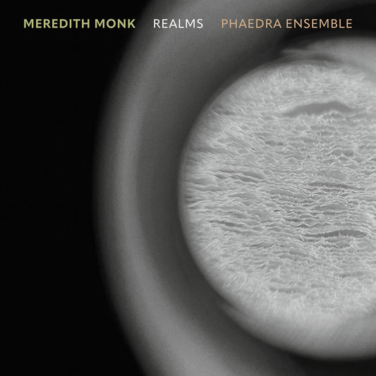 the album cover for Phaedra Ensemble - Realms