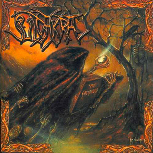 the album cover for Suidakra - Arcanum