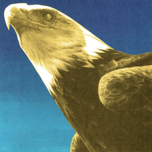 the album cover for Protomartyr - Hotel Usona