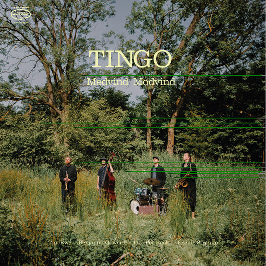 the album cover for Tingo - Medvind Modvind