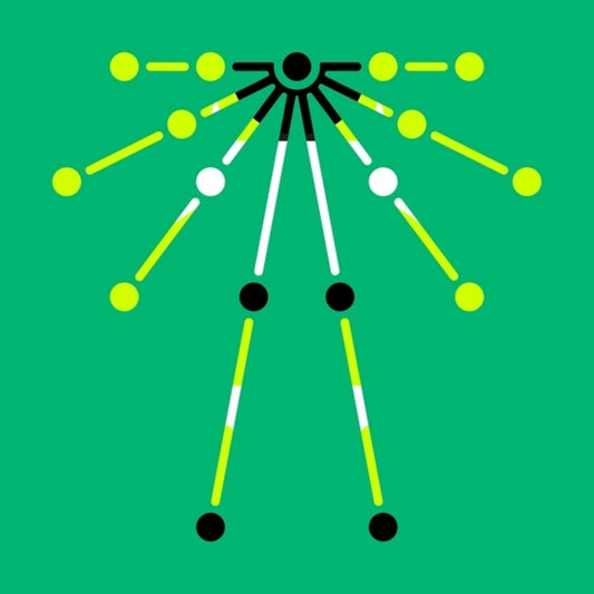 the album cover for Ame - Love Is The Dance