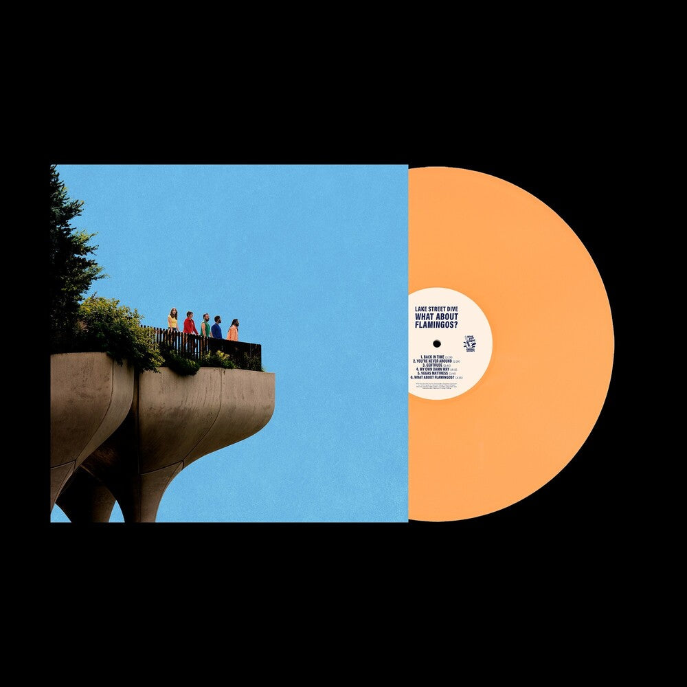 the album cover for Lake Street Dive - What About Flamingos [Indie Exclusive Peach]