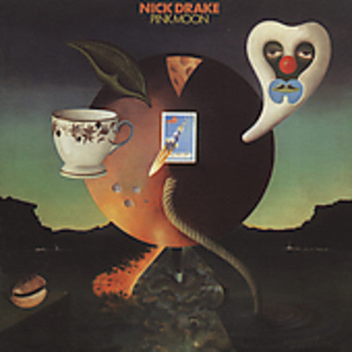 the album cover for Nick Drake - Pink Moon