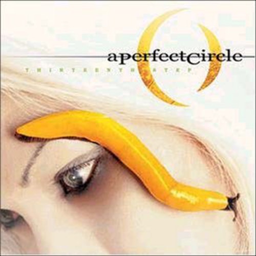 the album cover for A Perfect Circle - Thirteenth Step