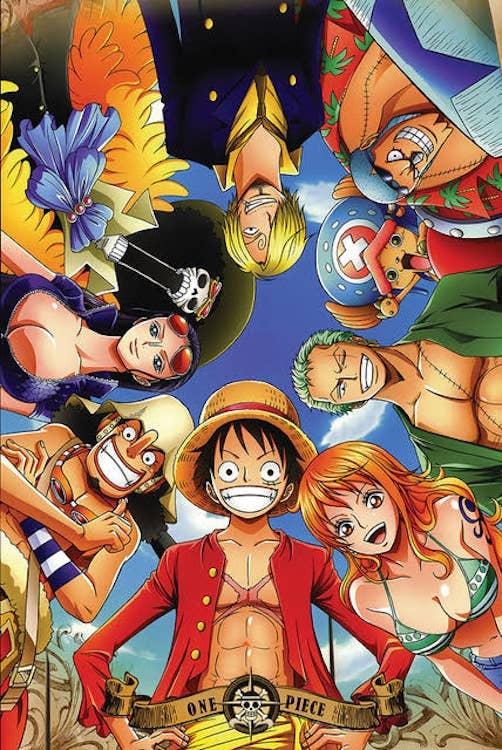 One Piece Circle Anime Poster Size 24X36: Individually Rolled 52975